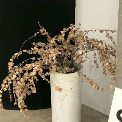 Furry兽圈美学分享兽圈社群